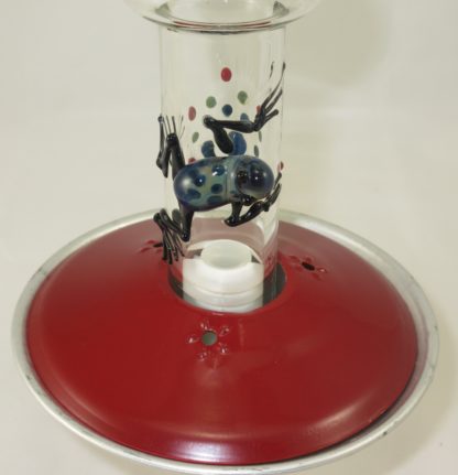 Green Frog (DB) - Image 3