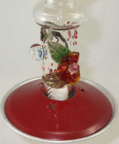 Amber Murrini (FT) - Image 4