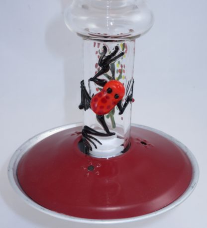 Amber Frog (DB) - Image 3