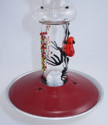 Amber Frog (DB) - Image 6