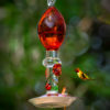 Amber Ladybug
